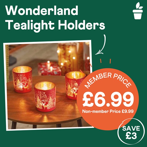 Wonderland Tealight Holders