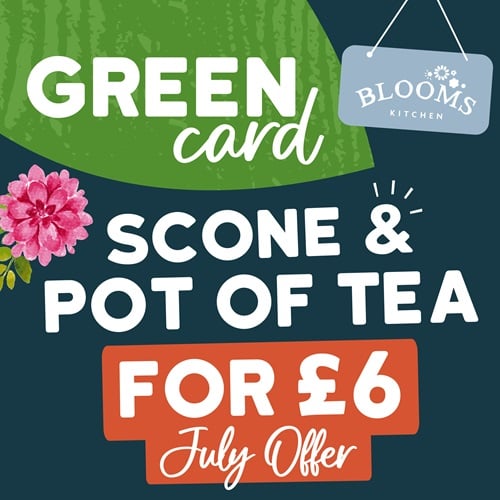 £6 Scone & Tea – Blooms