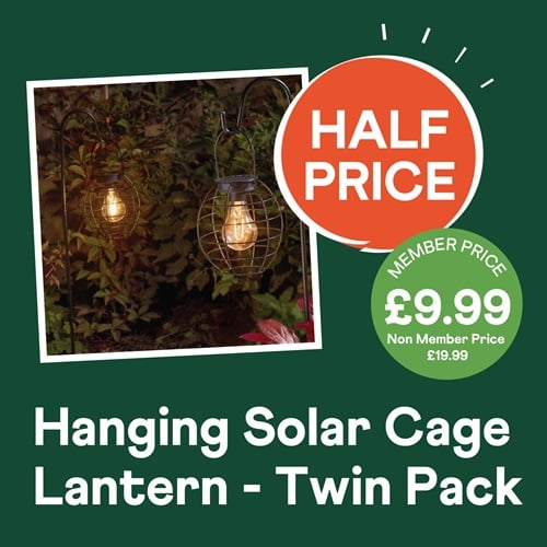 Hanging Solar Lantern – Twin Pack