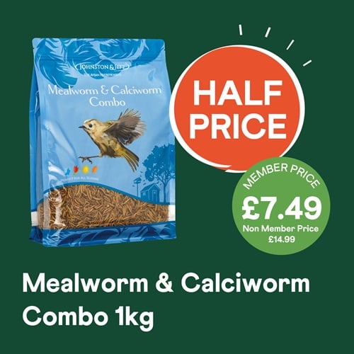 1Kg Mealworm & Calciworm Combo