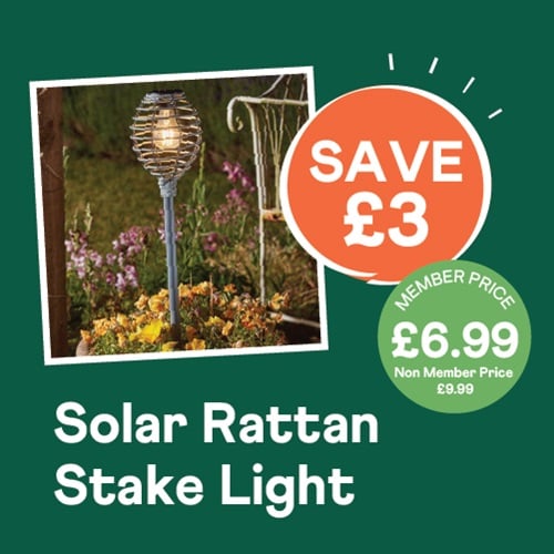 Solar Rattan Skate Light