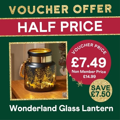 HALF PRICE – Wonderland Lantern