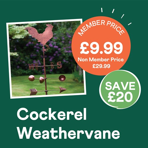 Cockerel Weathervane